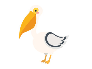 Obraz premium pelican