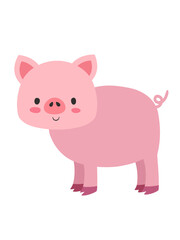 pig