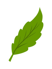 Green leaf logo icon