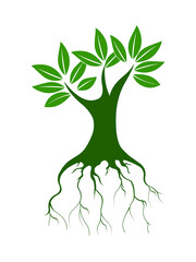 Big tree roots logo icon vector