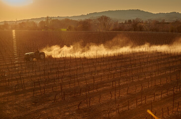 Tractor driving over a vineyard field. Dust is stirred up. This can be seen particularly well in the backlight. The painter Van Gogh painted field workers against the light.  Provence. France.