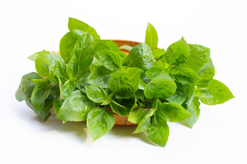 Basil leaves on white background.