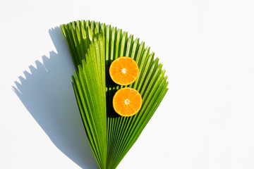 High vitamin C, Juicy and sweet. Fresh orange fruit on fiji fan palm leaf