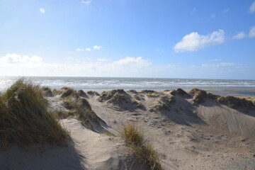 Fototapeta na wymiar the sand dunes of ynyslas beach with the sky clear and blue