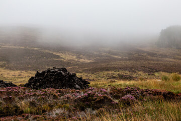 Peat on the Hebridean Island of North Uist, with Heather around it, on a Foggy Morning