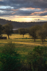 Fototapeta premium sunrise over the field green valley in jaipur