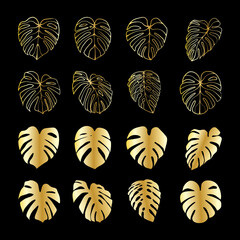 Monstera Deliciosa plant leaf gold isolated on background
