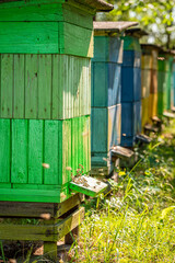 Vintage apiary in a rural settlement. Ecological honey production.