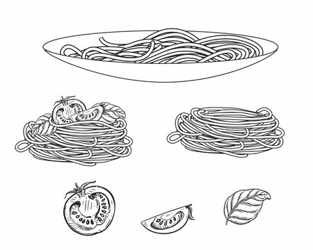 Hand drawn sketch black and white of pasta, spaghetti, tomato, basil. Vector illustration. Elements in graphic style label, sticker, menu, package. Engraved style illustration
