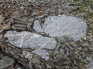 Gray natural rock with large inclusions background