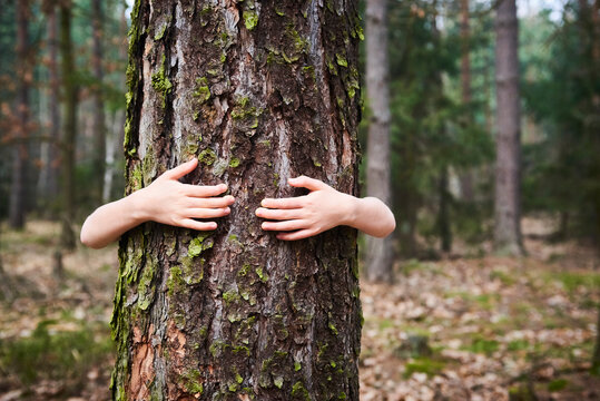 Child girl stand behind and give hug to tree in forest. Concept of global problem of carbon dioxide and global warming. Love of nature. Hands around the trunk of a tree.
