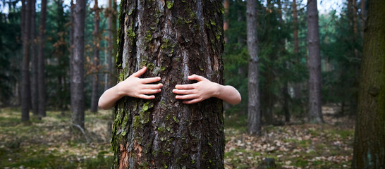 Child girl stand behind and give hug to tree in forest. Concept of global problem of carbon dioxide and global warming. Love of nature. Hands around the trunk of a tree.
