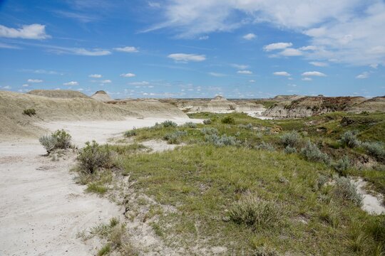 Dinosaur Provincial Park In Alberta Canada