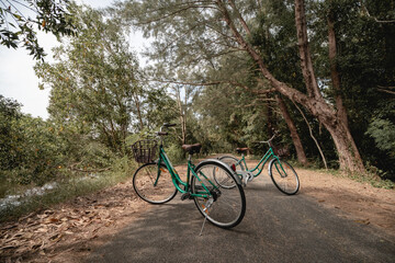 Fototapeta premium A bicycle on road with sunlight and green tree in park outdoor.