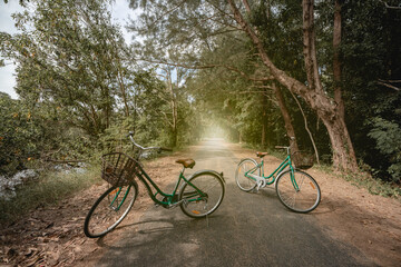 A bicycle on road with sunlight and green tree in park outdoor.