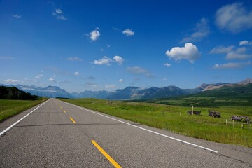 Road in Southern Alberta in Canada