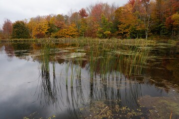 Autumn in the Catskill Mountains - Snake Pond near Andes NY