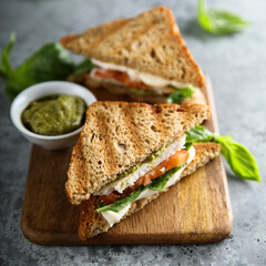 Grilled sandwiches with chicken and mozzarella