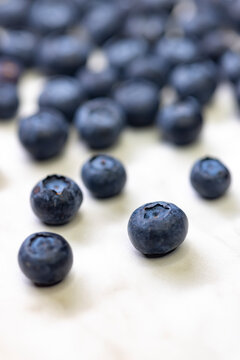 still life with blueberries on a white patterned background
