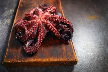 Boiled whole octopus on a wooden cutting board. Whole carcass of an octopus. Cooking seafood dishes. Dark background. Protein food. © Alla
