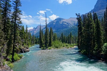 St Mary Falls in Glacier National Park in Montana USA