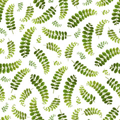 Seamless background with fern on the white background.Suitable for typography, cards, banners and textiles. - 423378570