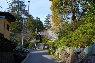 鎌倉の桜と寺