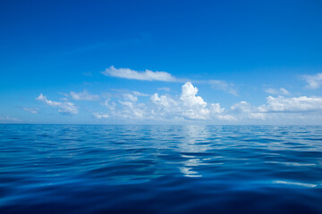sea and beach background with copy space