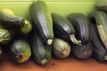 spotted green and yellow zucchini on a wooden background. gardening and agriculture concept.