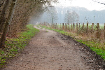 muddy hiking trail between forest and field in the morning fog