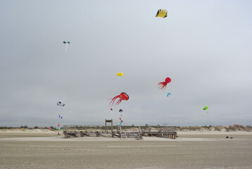 octopus kite , drachen am strand , st peter ording