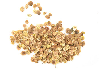 Parsnip seeds isolated on white background.Pile dry vegetable seeds, top view.