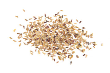 China aster seeds isolated on white background.Pile dry flowers seeds, top view.
