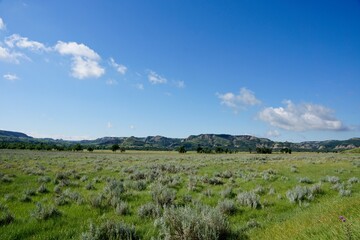 Theodore Roosevelt National Park in North Dakota USA
