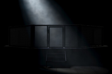 MMA Cage Door Spotlight