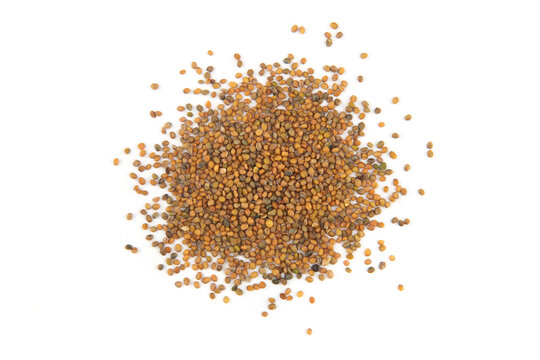 Rocket or arugula seeds isolated on white background.Pile dry vegetable seeds, top view.