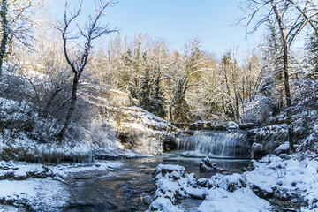 river in winter forest