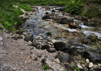 Fototapeta premium mountain river in the forest