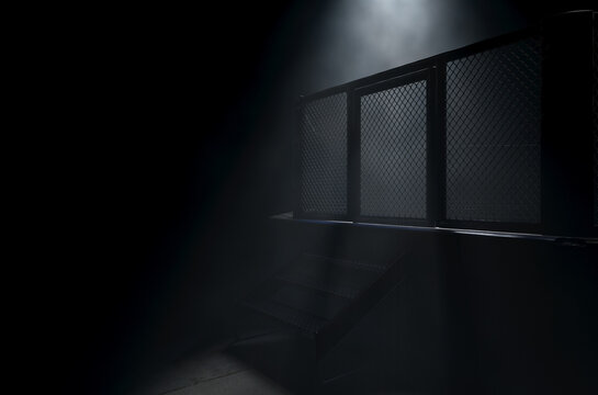 MMA Cage Door Spotlight