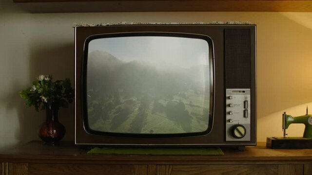 A video of the Nature showing on the old TV screen.