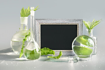 Natural Green laboratory. Text space, copy-space blackboard, chalk board. Exotic green leaves in...