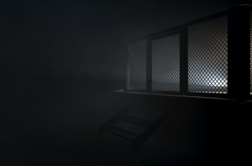 MMA Cage Door Spotlight