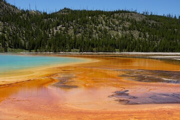 Yellowstone National Park in Wyoming USA