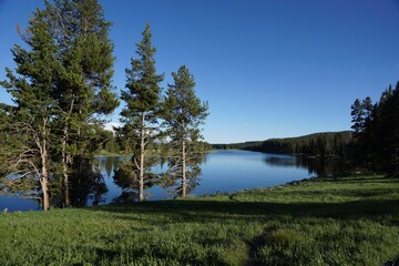 Yellowstone National Park in Wyoming USA