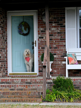 Greeter