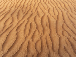Close-up view of desert sand texture