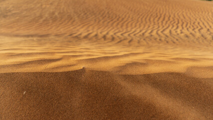 Close-up view of desert sand texture