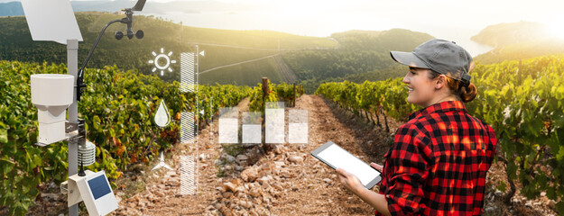 Weather station in a field with vineyard. Woman farmer with tablet at wine farm. 