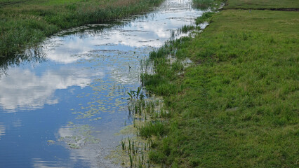 The sky reflected in a small river