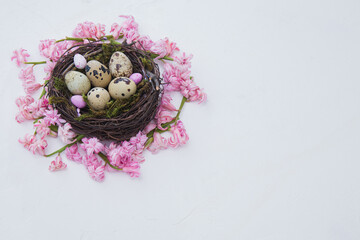 easter nest of beautiful pink hyacinth flowers with a quail eggs on a white backgrorund. Easter composition. Horizontal frame. Free space for text